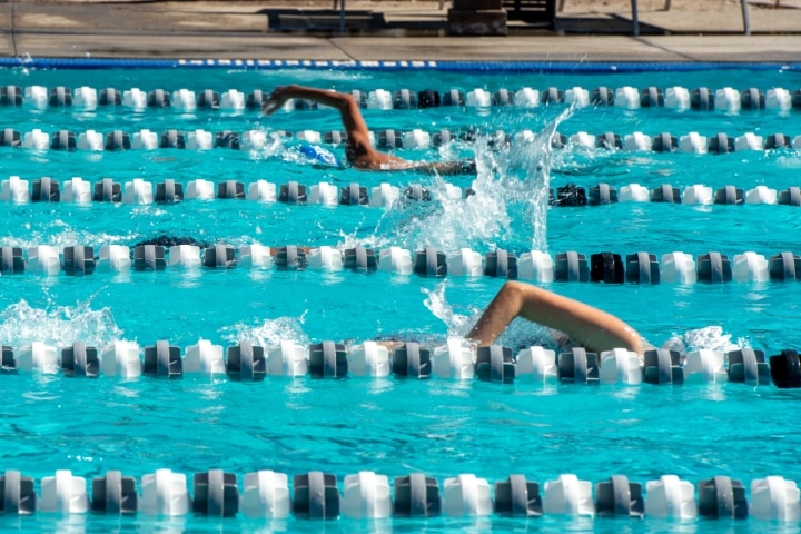 swimmers-in-lane